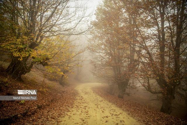 وقتی «کیهان کلهر» خزان را روایت کرد/ «پاییزان» شهبازیان را بشنویم