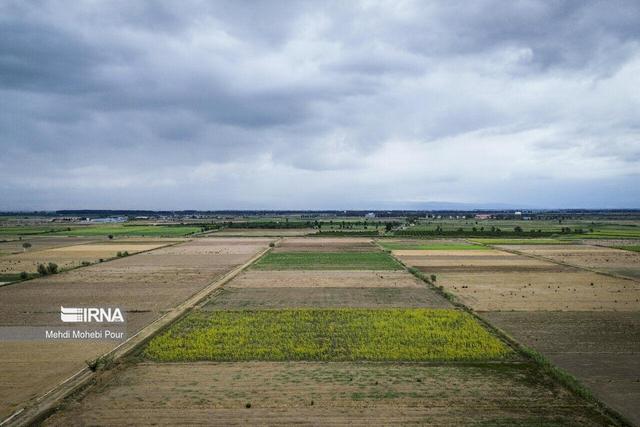 معاون وزیر جهاد کشاورزی: بارش‌های کشور به ۱۴۰ میلیارد مترمکعب کاهش یافت