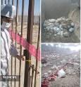 معدوم سازی ۳۰ هزار قطعه مرغ در یک واحد مرغداری شیروان