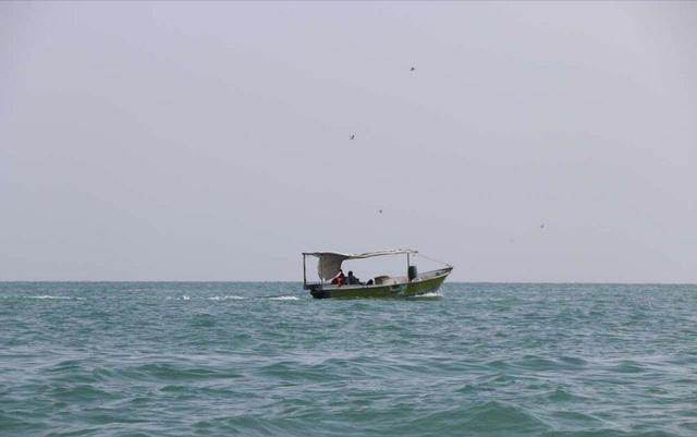 وزش باد شمال‌شرقی و غبار محلی در سواحل و جزایر هرمزگان