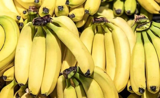 قیمت موز باید بسیار پایین تر باشد/ رانت واردات موز در قبال صادرات سیب!