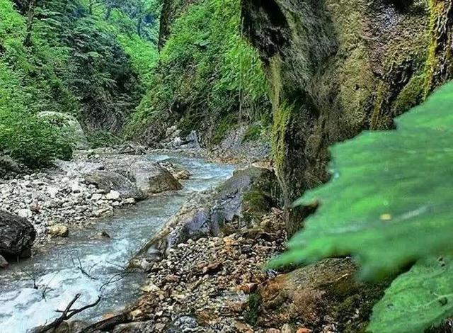 شصت‌کلا؛ نگین سبز گرگان در آغوش مه و افسانه