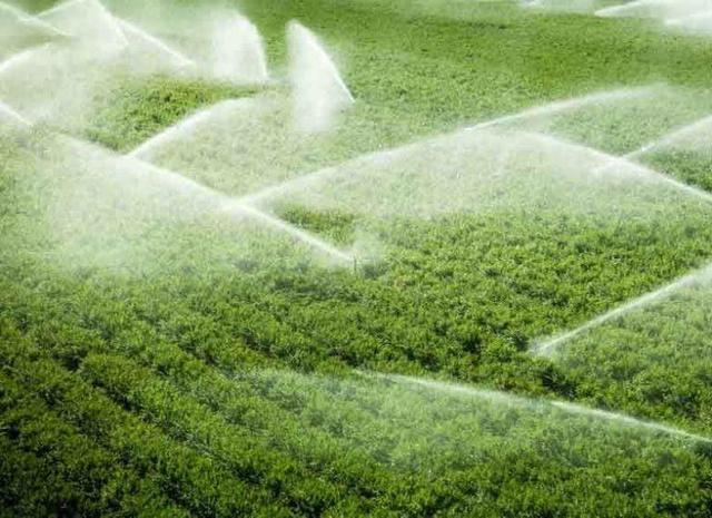 کشت هوشمند در سایه تغییر اقلیم؛ نسخه‌ای برای آینده کشاورزی گلستان