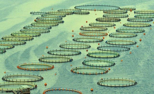 ساخت بزرگ‌ترین قفس دریایی کشور در نوشهر به مرحله پایانی است