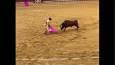 حرکات سریع و مانورهای دیدنی گاوباز در میدان مسابقه اسپانیا (فیلم)