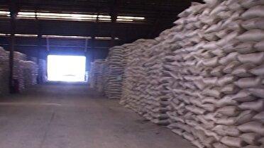 سهمیه کود امسال گلستان ۱۴۷ هزار تن است