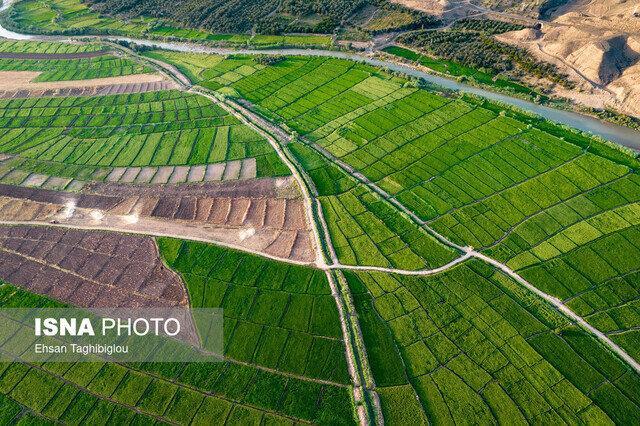 رفع تداخل ۱۰۵ هزار هکتار از اراضی کشاورزی کهگیلویه و بویراحمد