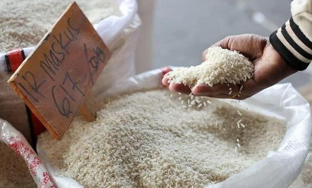 خرید شلتوک و برنج از کشاورزان گلستانی