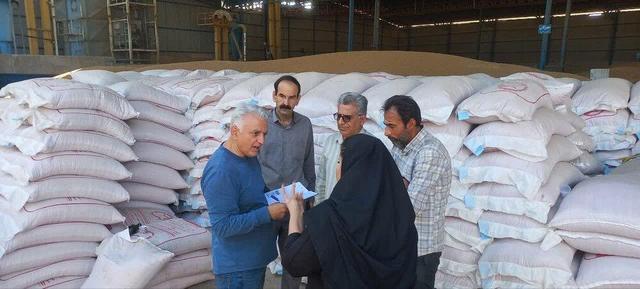 ایلام ظرفیت تولید بذر کیفی دارد/نتیجه پایش‌ها مبنای برنامه‌های بهبود کیفیت خواهد بود