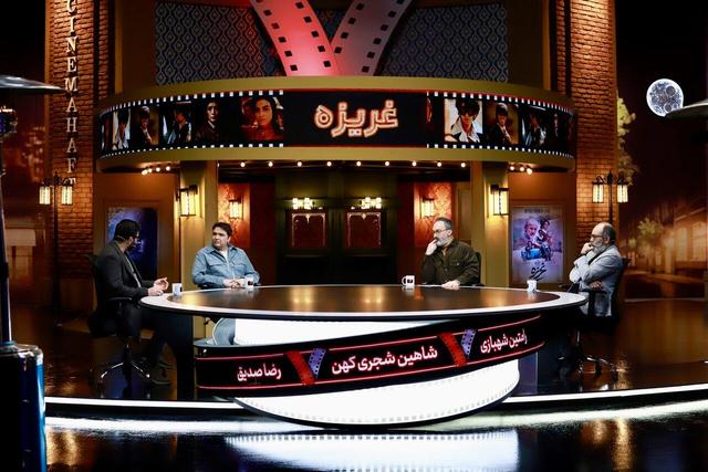 «غریزه» یک پیشنهاد سینمایی متفاوت یا هیاهو برای هیچ؟