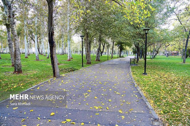 غیوری خواه: دمای هوای مشهد بین ۴ تا ۲۱ درجه در نوسان خواهد بود