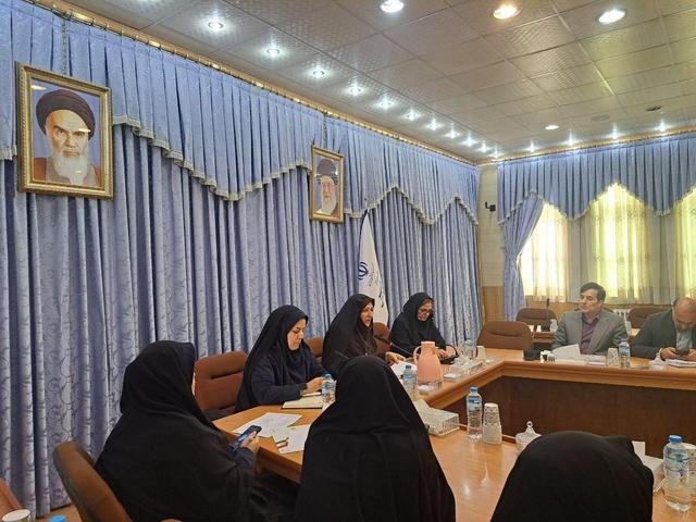 محمدلو: اقدامات دستگاه‌ها در خصوص اجرای قانون جوانی جمعیت رصد می‌شود