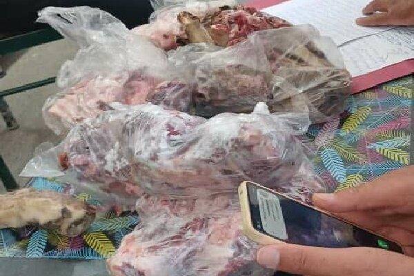 کشف محموله سنگین شکار غیرمجاز در دنا