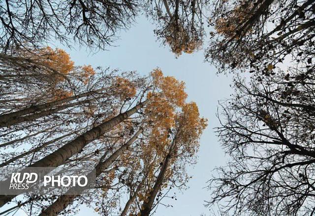 تداوم پایداری جوی در کردستان تا اواسط هفته