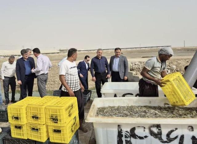 آمادگی صندوق توسعه ملی برای حمایت هدفمند از طرح‌های شیلاتی هرمزگان