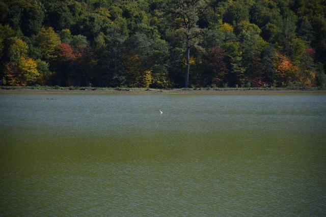 الندان زنده است+فیلم