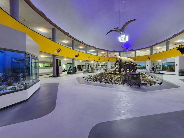 چشم‌انداز تاسیس نخستین موزه تخصصی فسیل‌شناسی ایران در شیراز