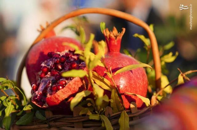 عکس/ جشنواره انار نمهیل