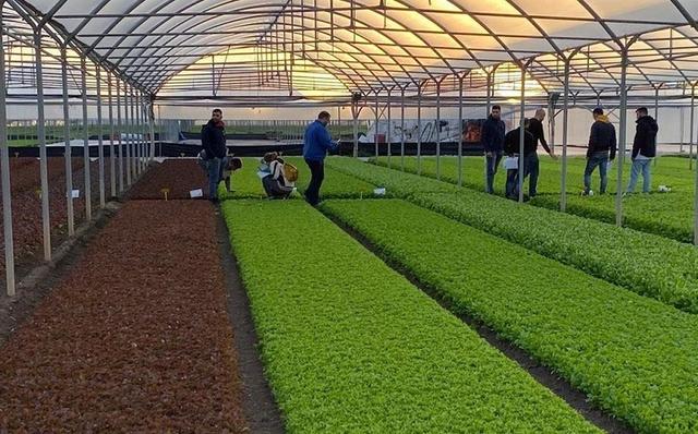 چهارمین قطب گلخانه‌ای کشور در مسیر توسعه