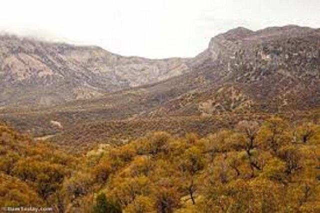 «مانشت و قلارنگ» زیست‌بوم طبیعت وحشی زاگرس در ایلام