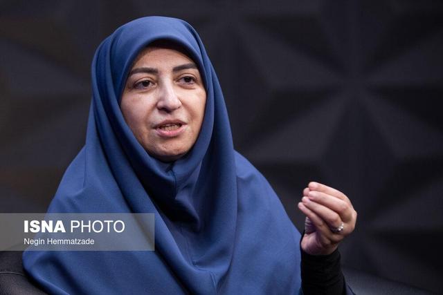 دعوت انصاری از ثابتی برای بررسی اسناد سفر برزیل در سازمان محیط زیست