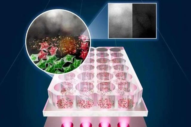 نوید درمان سرطان با نور LED بدون تخریب سلول‌های سالم