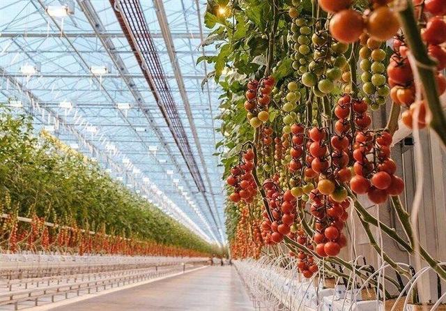 گاز گلخانه داران هرمزگان در فصول سرد قطغ نخواهد شد