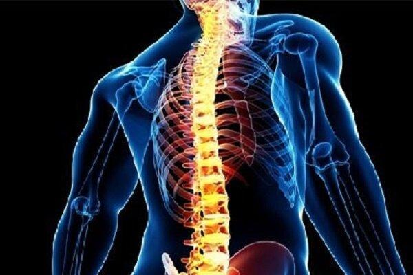 افزایش درد و مشکلات ستون فقرات در نسل جوان