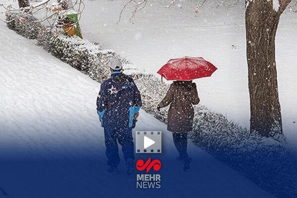 مدیر عامل شرکت ملی نفت: برنامه ریزی دقیقی برای زمستان داریم