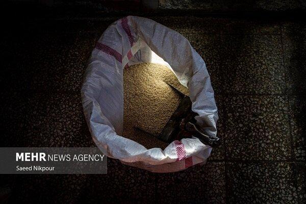 رشد دو برابری واردات برنج؛ برنج هندی در صدر برنج های خارجی