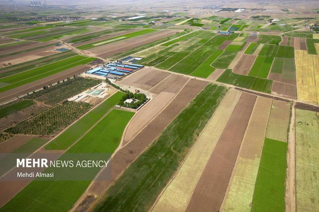 ۶۲ هزار هکتار از اراضی زراعی استان قزوین شناسه‌دار شد