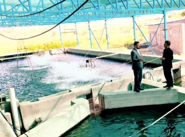 ۸۶۱۲ تن انواع آبزی در نیمه نخست سال در کرمانشاه تولید شد