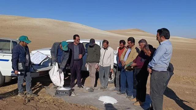 استقرار پایگاه های نوآوری کشاورزی در هشترود