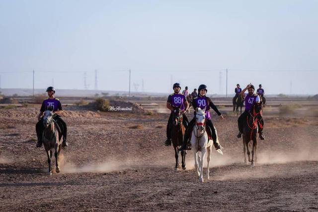 برترین های مسابقات سوارکاری استقامت خوزستان معرفی شدند