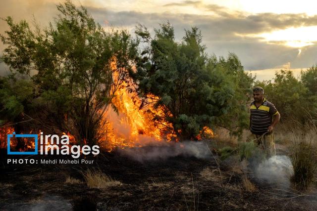 عامل آتش‌سوزی در تالاب بیشه‌دالان بروجرد دستگیر شد