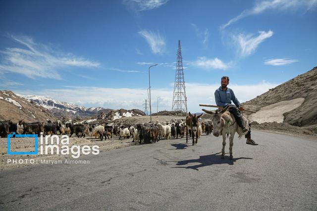 خراسان‌شمالی در عصر خشکسالی؛ کوچ پاییزه زودهنگام عشایر