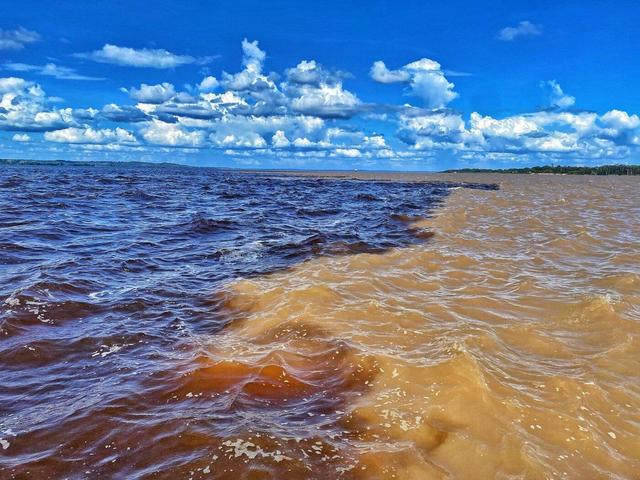 ویدیو| این جا آمازون دو رنگ میشود