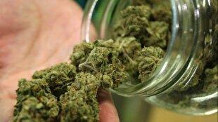 «گل» حتی از «حشیش» هم ویران‌کننده‌تر است