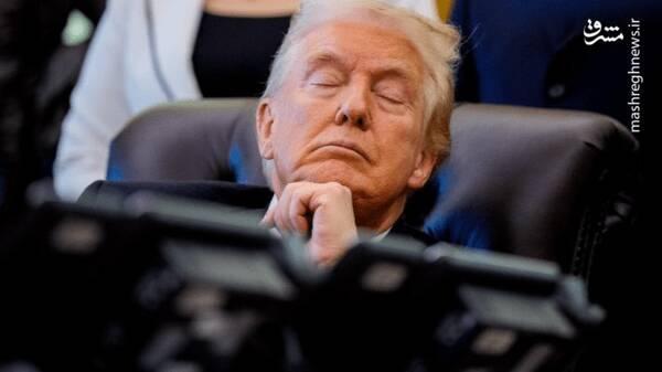 گفت و شنود/ گاو خر است!