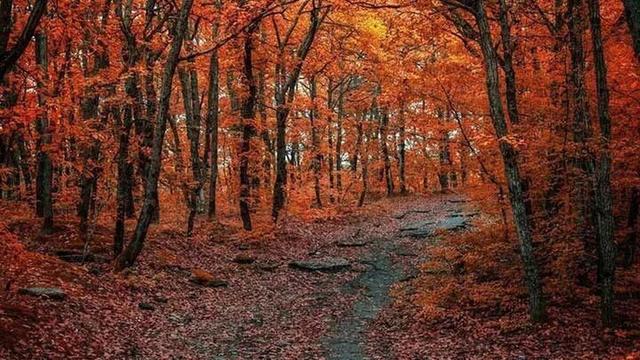 سمفونی گردشگری تاریخی و طبیعی شیراز؛ گزند مدیرنیته بر دامان اصالت قلات