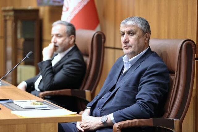 ارتباط سازمان انرژی اتمی با وزارت امور خارجه پیوسته و پایدار است