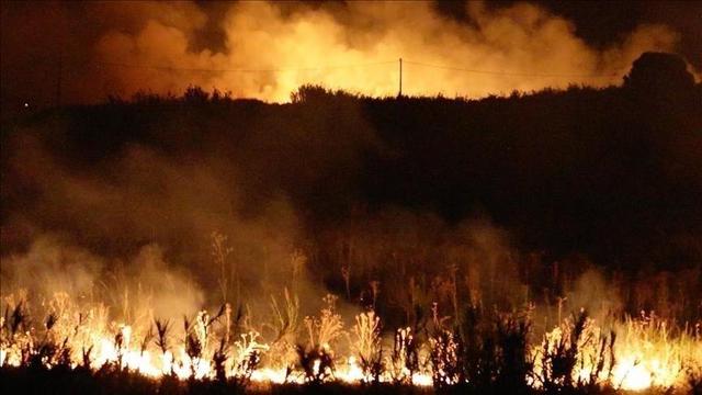 آتش‌سوزی جنگلی گسترده در نیوزیلند