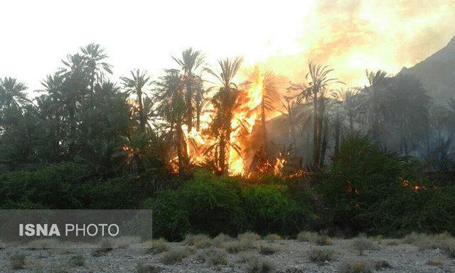 آتش‌سوزی گسترده در نخیلات قطب‌آباد فین / اعزام پنج دستگاه اطفای حریق برای مهار حادثه