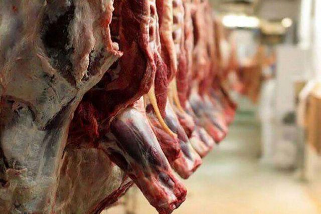 کشف و پلمب فرآورده‌های دامی فاقد هویت در مشهد