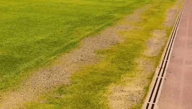 ویدیو| عادل فردوسی‌پور افشا کرد: چمن هیبریدی در تبریز؟ دروغ است!