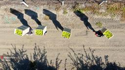 صادرات ۵۰۰ محموله مرکبات مازندران؛ از هند تا کشورهای حاشیه خزر