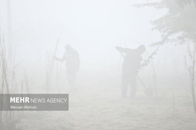 هشدار سطح نارنجی هواشناسی خوزستان؛ کاهش دید در محورهای جنوبی و ساحلی
