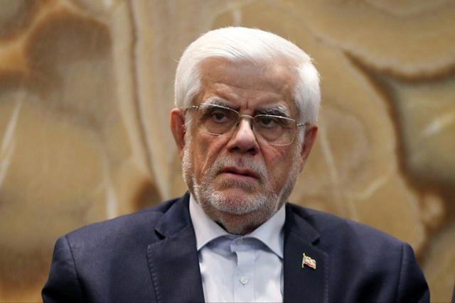 عارف: نگاه امنیتی مانع اجرای طرح بازگشت موقت نخبگان شده است