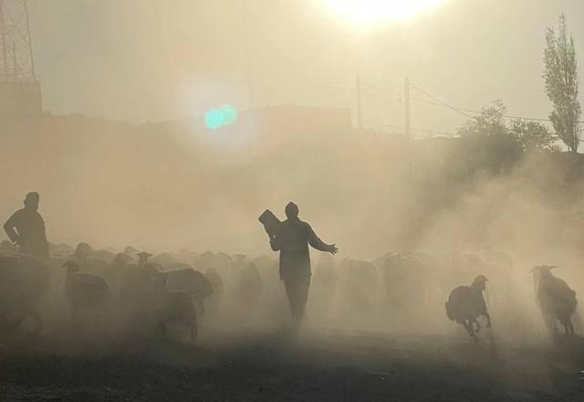 «عدنان زندی»؛ «گرگ بند» می سازد