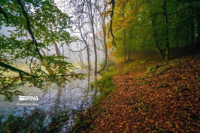 آسمان گیلان روزهای پیش رو ابری و هوا مه‌آلود است